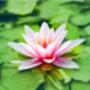 Mindfulness