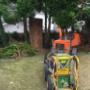 BR TREE CARE