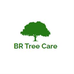 BR Tree Care