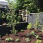 Garden makeover