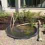 Garden makeover