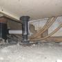 Pest Control near Trim Co. Meath, Evening call-outs, Rats,Mice, Mouse, Rodents, Wasps, Pest control company, Local pest control company