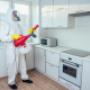 Pest Control near Trim Co. Meath, Evening call-outs, Rats,Mice, Mouse, Rodents, Wasps, Pest control company, Local pest control company