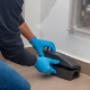 Pest Control near Trim Co. Meath, Evening call-outs, Rats,Mice, Mouse, Rodents, Wasps, Pest control company, Local pest control company