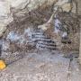 Pest Control near Trim Co. Meath, Evening call-outs, Rats,Mice, Mouse, Rodents, Wasps, Pest control company, Local pest control company