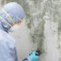 At Property Care Solutions, we understand the paramount importance of mould detection services in safeguarding your health and property. Our specialised mould detection services are designed to unearth hidden mould infestations, offering peace of mind and ensuring the well-being of your living or working environment. Mould poses health risks, potential structural damage and costly repairs if left unchecked.