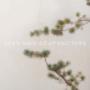 Acupuncture Galway