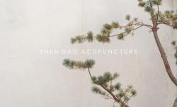 Shen Dao Acupuncture