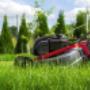 Garden Maintenance