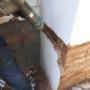 Damp Treatment Services in Cork