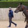 John Oxx was Assistant Trainer to his father before taking over the licence in 1979. Currabeg stables has sent out almost 2000 winners, including 152 Listed winners and 137 Group winners. Among these are 37 Group 1 wins. In more recent years, the fairytale season of 2009 with Sea The Stars demonstrated that Mr Oxx from Currabeg was one of the best trainers there ever was.