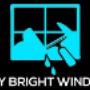 Shiny Bright Windows