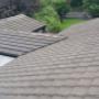 Roof cleaning