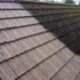 Roof Cleaning