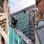 Roofing Replacement