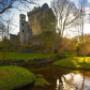 Cork Tours