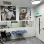 Maxi Zoo Salon Coolock