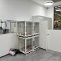 Maxi Zoo Salon Coolock