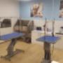 Maxi Zoo Salon Sligo