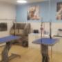 Maxi Zoo Salon Sligo