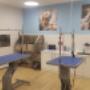 Maxi Zoo Salon Sligo