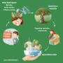 Infographic