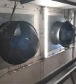 Fan services