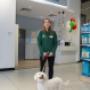Maxi Zoo Salon Portlaoise