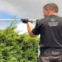 Tree Services