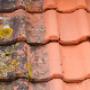 SOFT WASHING, POWER WASHING, GUTTER CLEANING, SOLAR PANEL CLEANING, WINDOW CLEANING, ROOF CLEANING, COMMERCIAL FLEET WASHING, VALETING