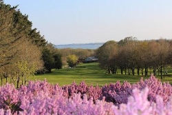 Courtown Golf Club
