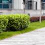Landscaping Services