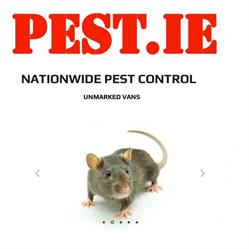 Pest.ie - Dublin-pest-control-company
