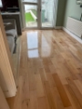 Wood Flootr Cleaning