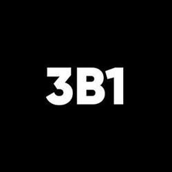 3B1