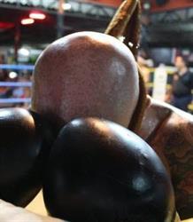 Hammerhead Muay Thai