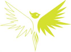 Phoenix Sales & Marketing