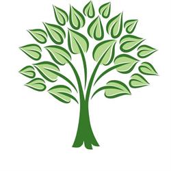 Cypress Public Accounting, LLC
