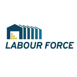 Labour Force