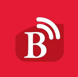 B Connected Inc