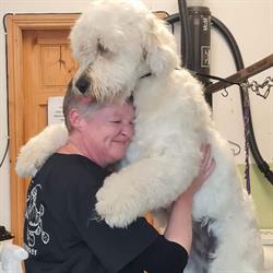 For Mutt's Sake Dog Grooming