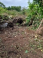 Garden Clearance