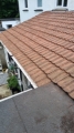Roof Cleaning