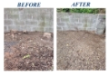 Stump Grinding