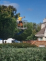 Tree Services