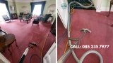 Tired of Dirty Carpets Shiny Cleaning Has the Solution
