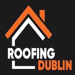 Roof Repairs in Dublin