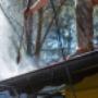 Expert Roof and Gutter Cleaning