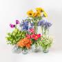 Designer Choice Bouquet – Vivid