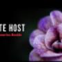 Tribute Host